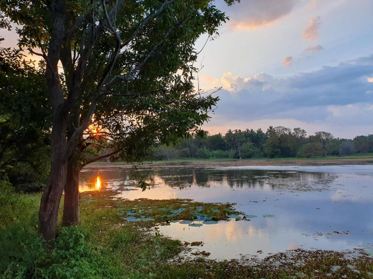Ama Eco Lodge Sigiriya Ngoại thất bức ảnh