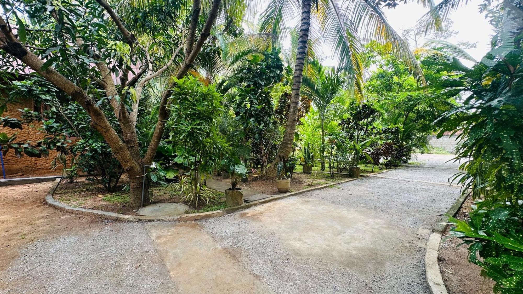 Ama Eco Lodge Sigiriya Ngoại thất bức ảnh