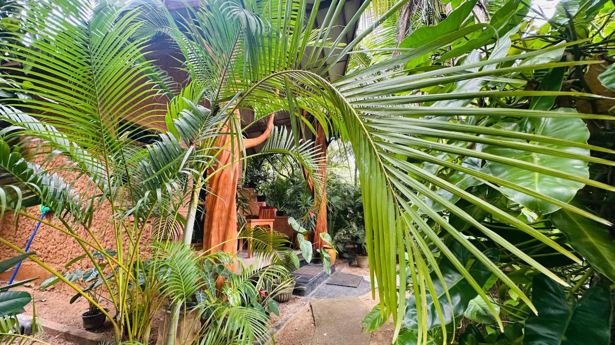 Ama Eco Lodge Sigiriya Ngoại thất bức ảnh